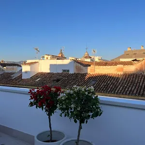 https://atarazanas-suite-atico-con-terraza.hotelsinnerja.org